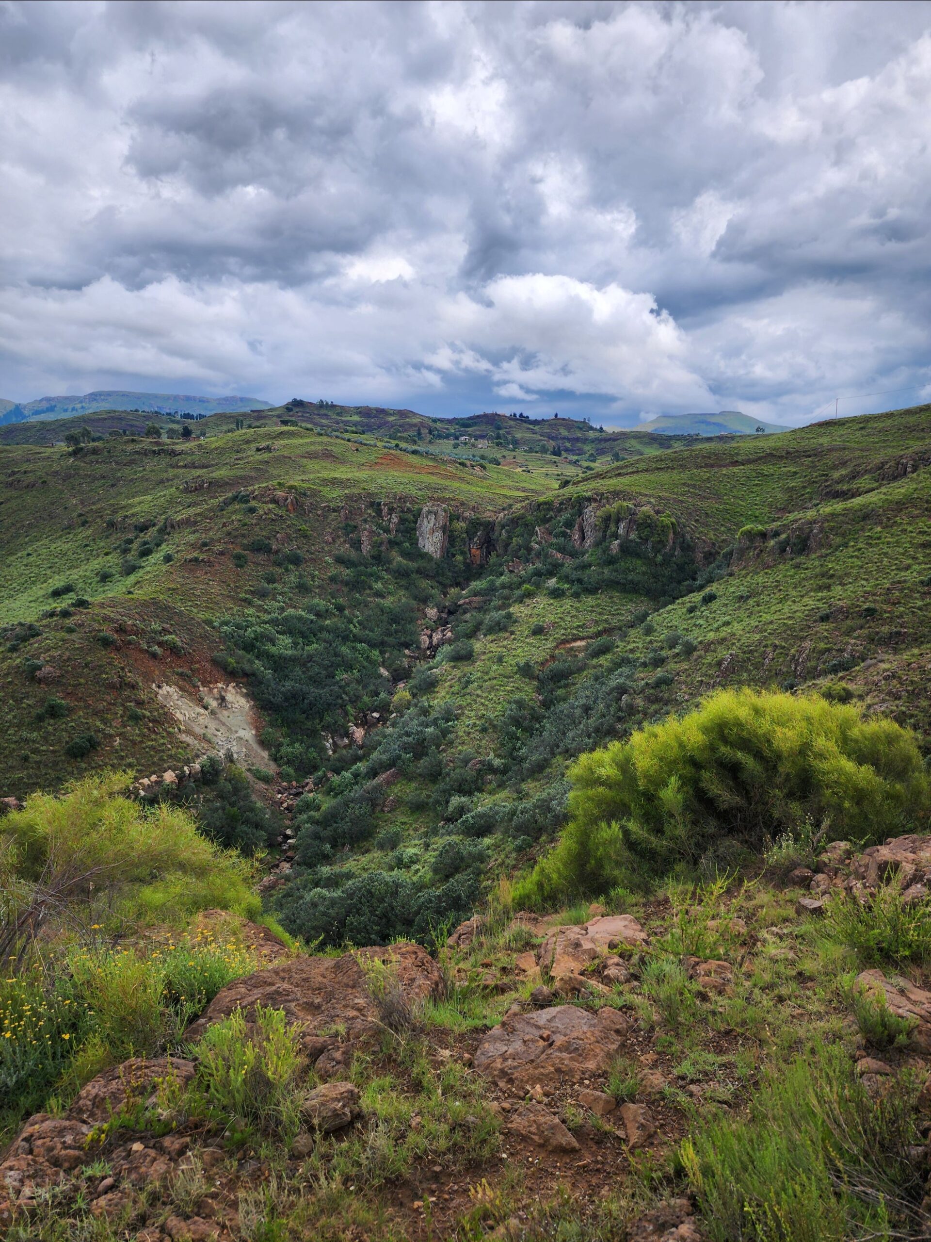 stories-from-the-field-3